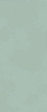 Настенная плитка Boost Color Jade 50x120 Atlas Concorde Italy матовая керамическая AKM6