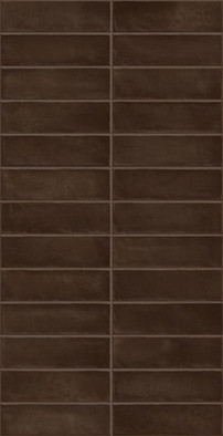 Керамогранит Deco Artis Plus Cocoa 32х62.5 Gayafores полированный настенная плитка 00000089041