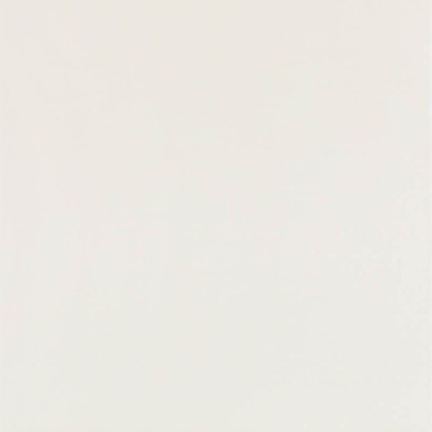 Керамогранит Elegant Surface Bianco 59.8x59.8 напольный матовый