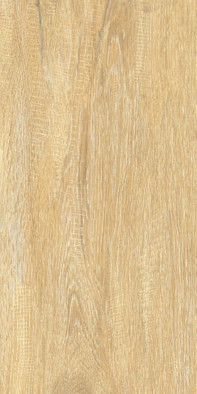 Настенная плитка Elemento Cedar WT9ELT31 AltaCera 25x50 глянцевая керамическая фото Настенная плитка Elemento Cedar WT9ELT31 AltaCera 25x50 глянцевая керамическая