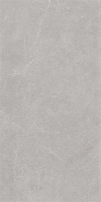 Керамогранит Ройс Сильвер 231 60x120 Eurotile Ceramica матовый универсальная плитка
