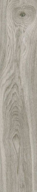 Керамогранит Emotion Hardy Gris 23,3x120, , матовая