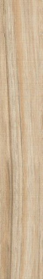 Керамогранит Gamma-R Beige фото Керамогранит Gamma-R Beige