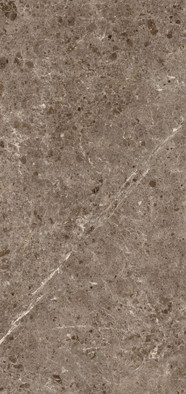 Керамогранит Artic Moka Pul.120x260 5,6 Grespania Ceramica S.A. полированный универсальная плитка 78RC27P фото Керамогранит Artic Moka Pul.120x260 5,6 Grespania Ceramica S.A. полированный универсальная плитка 78RC27P