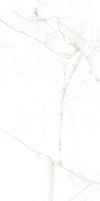 Керамогранит Dual White EP Museum 60x120 глянцевый универсальный фото Керамогранит Dual White EP Museum 60x120 глянцевый универсальный