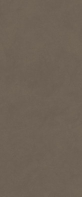 Настенная плитка Boost Natural Pro Coffè 50x120 Atlas Concorde Italy матовая керамическая AQ6S