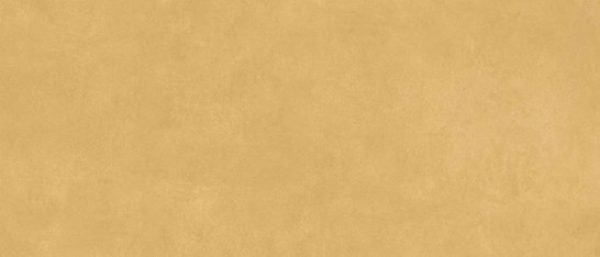 Керамогранит Scs Spectra Mustard Gv 120х278х6 Simpolo матовый универсальный MPL-060349 фото Керамогранит Scs Spectra Mustard Gv 120х278х6 Simpolo матовый универсальный MPL-060349