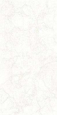 Керамогранит СП1310 Mystery White Lux Ret 60х120 8 mm 142015 Tagina полированный универсальная плитка