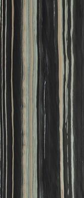 Керамогранит Bosco Black Nat. (6 mm) 120х280 Tau Ceramica матовый настенный 10423-0001