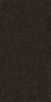 Керамогранит Nero Zimbabwe Flamed - 12mm ST Plan Atlas Concorde 162х324 структурированный универсальный A0Y3 фото Керамогранит Nero Zimbabwe Flamed - 12mm ST Plan Atlas Concorde 162х324 структурированный универсальный A0Y3