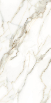 Керамогранит Carrara White 60x120 Zerde Tile глазурованный, матовый универсальная плитка n162483
