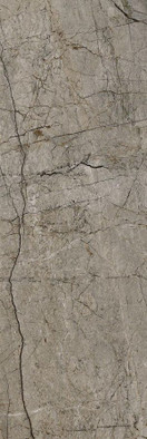 Настенная плитка 800 Passion Dark 29,5х89,5 Eurotile Ceramica глянцевая керамическая