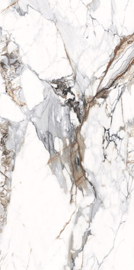 Керамогранит Breccia Capria 120х240 полированный NT Ceramic универсальный NTT3005P фото Керамогранит Breccia Capria 120х240 полированный NT Ceramic универсальный NTT3005P