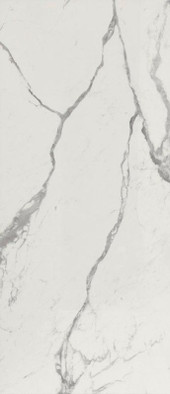 Настенная плитка Roma Gold Carrara Superiore Brillante 50x120 Fap Ceramiche глянцевая керамическая 36964