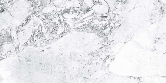 Керамогранит Forest White Semi Polished Goldis Tile 59.7х119.8 полированный универсальный УТ000030468