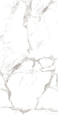 Керамогранит Calacata Vagli Super White Glossy 60x120 Art and Natura Ceramica глянцевый универсальный 11111N1121 фото Керамогранит Calacata Vagli Super White Glossy 60x120 Art and Natura Ceramica глянцевый универсальный 11111N1121