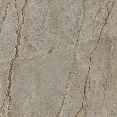 Керамогранит Wild Forest 120x120 Matt (9 мм) Zodiac Ceramica матовый универсальная плитка MN327AYD121209