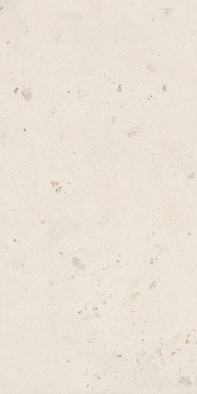 Керамогранит Shell6 12 60x120 La Faenza Monoceram Suite Stone матовый универсальная плитка 200300