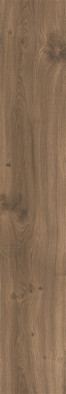 Керамогранит Wood Shine Natural Carving 20x120 Eurotile Ceramica универсальная плитка 7930138704774