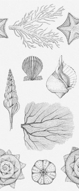 Настенная плитка Aqua White Белый 01 25х60 Gracia Ceramica матовая, рельефная (структурированная) керамическая 010100001536