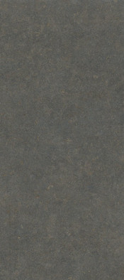 Керамогранит Oda Classic Honed 119.8х269.8 Living Ceramics матовый универсальная плитка OD/CL/HN/270