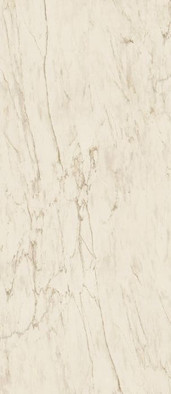 Керамогранит Marvel Cremo Delicato 120x278 Matt (A2RU) матовый