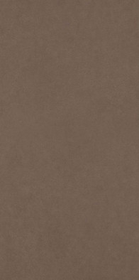 Керамогранит Intero Brown Gres Rekt. Mat. 29,8x59,8 Paradyz Ceramika матовый универсальный 5902610576553