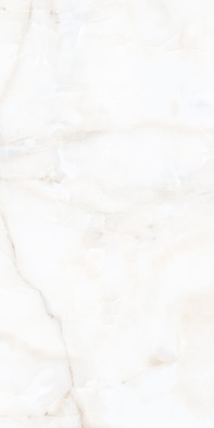 Керамогранит Antisky 2 Polished Alpas Cera 60х120 полированный универсальный УТ000033549