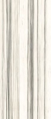 Керамогранит AE ZEB6 278 LPM 120x278 La Faenza Monoceram Aesthetica сатинированный универсальный