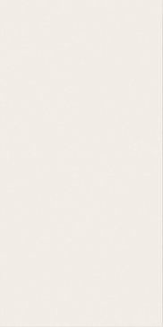 Настенная плитка White 40x80 matt (Уайт 40x80 матт) керамическая