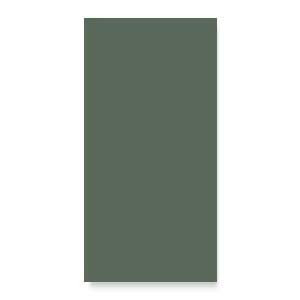 Керамогранит Solid L Moss (121907) 12,5х25 Wow матовый универсальный