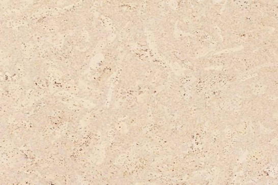 Пробковая панель Corkstyle EcoCork Madeira Creme 10.5 мм 915x305 33 класс