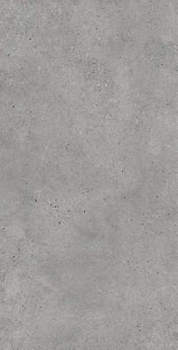 Керамогранит Montiver Grey 60х120 Prissmacer матовый, сатинированный универсальная плитка 78901616