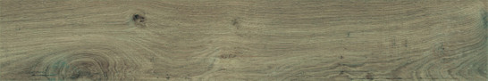 Керамогранит Northwood Elm Baldocer 20x120 матовый универсальный фото Керамогранит Northwood Elm Baldocer 20x120 матовый универсальный