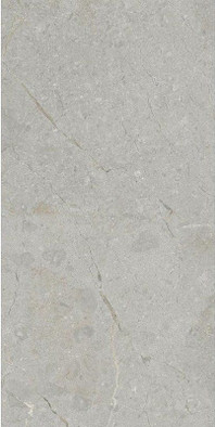 Керамогранит Silver Rustic Carving 60x120 Art and Natura Ceramica универсальный 11111T1151 фото Керамогранит Silver Rustic Carving 60x120 Art and Natura Ceramica универсальный 11111T1151