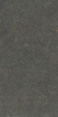 Настенная плитка Oda Classic Ductile 60x120 Living Ceramics матовая керамическая LV12199