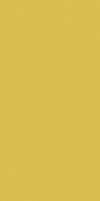 Керамогранит YC14 80x160x10 Неполированный Рект. Estima Your color настенная плитка 74124