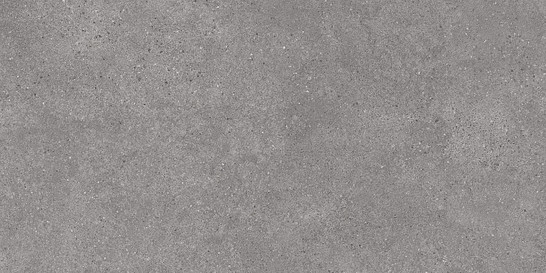 Керамогранит DL590100R Фондамента серый обрезной 238.5х119.5 Kerama Marazzi матовый напольная плитка фото Керамогранит DL590100R Фондамента серый обрезной 238.5х119.5 Kerama Marazzi матовый напольная плитка