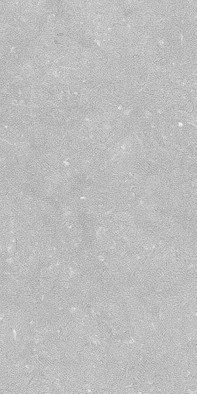 Керамогранит Noon Grey Anti-Slip 30x60 Living Ceramics напольная плитка LV11637