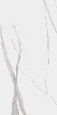 Керамогранит Project Antibacterial Calacatta Levigato Ректифицированный 60х120 Dogma полированный универсальная плитка NEO126001