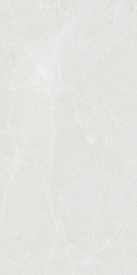 Керамогранит Elegance Bianco 60x120 Colortile carving универсальный