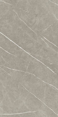 Керамогранит Eternal Natural Taupe 60х120 Baldocer матовый универсальный фото Керамогранит Eternal Natural Taupe 60х120 Baldocer матовый универсальный