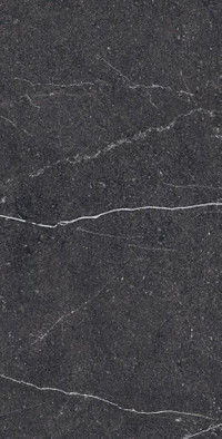 Керамогранит Equistone Charcol 60х120 RG Arcadia Ceramica полированный универсальный RG6003-A