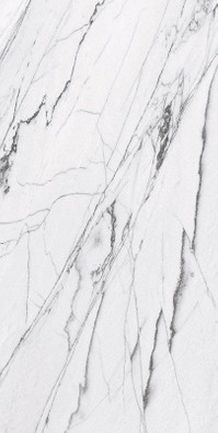 Керамогранит Spectra White Ceramicoin 60х120 глянцевый универсальный P 2157 фото Керамогранит Spectra White Ceramicoin 60х120 глянцевый универсальный P 2157