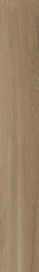Керамогранит Belice-R Natural 26x180 универсальный матовый фото Керамогранит Belice-R Natural 26x180 универсальный матовый