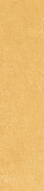 Керамогранит Spectra Mustard Glossy 5.8х25 Simpolo глянцевый настенная плитка MPL-062303