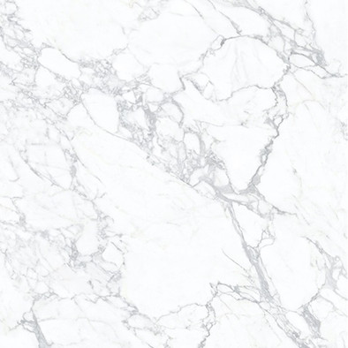 Керамогранит Statuario White 120x120 Matt (9 мм) Zodiac Ceramica матовый универсальная плитка MN019AYD121209