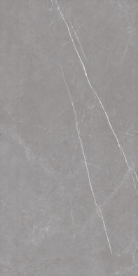 Керамогранит PRO 0249M Logan Matt 60х120 ProGRES Ceramica матовый универсальная плитка