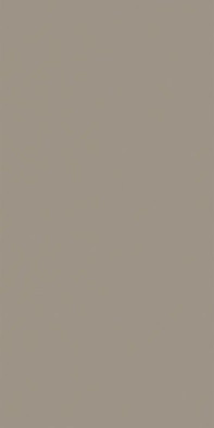 Керамогранит Silk Vision Natural Inalco 100x250 матовый универсальный УТ0025482 фото Керамогранит Silk Vision Natural Inalco 100x250 матовый универсальный УТ0025482