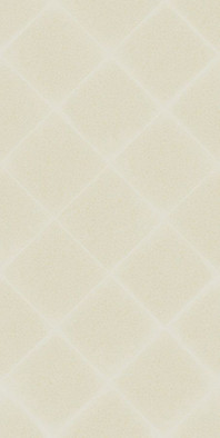 Настенная плитка Adele Latte WT9ADE11 24.9x50 глянцевая керамическая фото Настенная плитка Adele Latte WT9ADE11 24.9x50 глянцевая керамическая